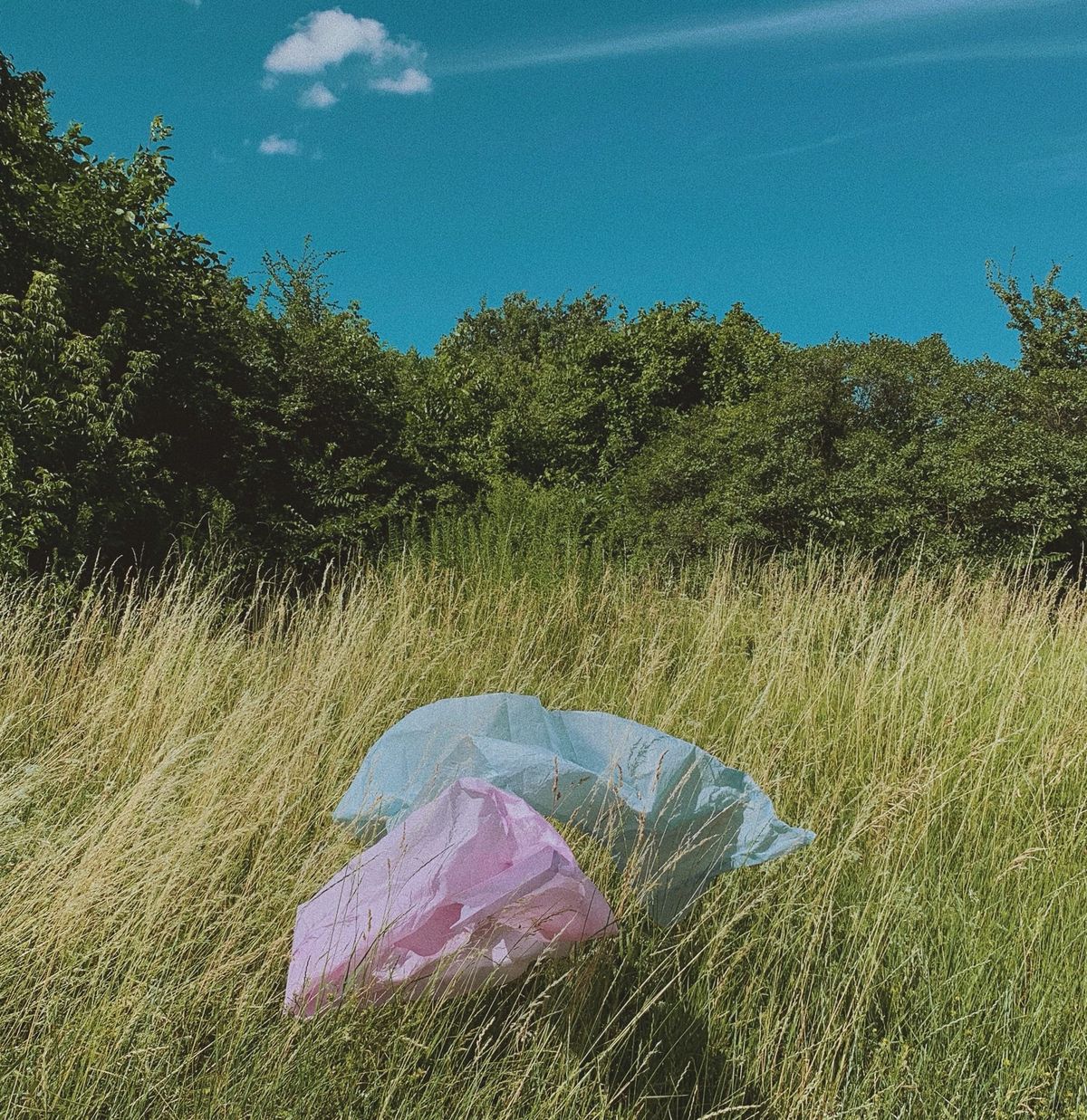 Plastic is a brilliant material, our relationship with it is trash ⊗ Great sci-fi about the future ⊗ Black Death, COVID, and the Renaissance