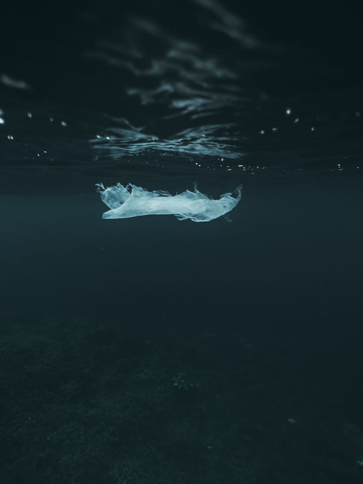 Your attention is not a resource ⊗ Routine maintenance ⊗ How bad are plastics, really?