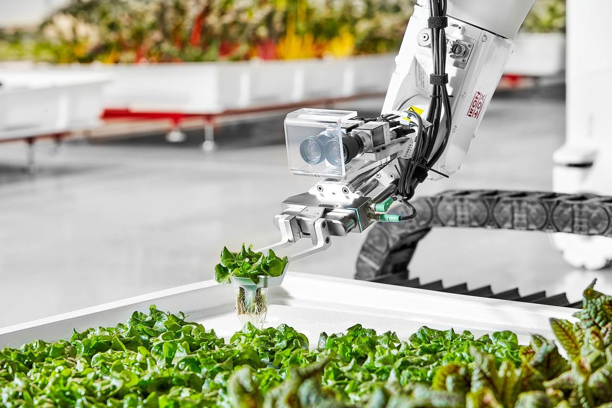 The Automation Charade