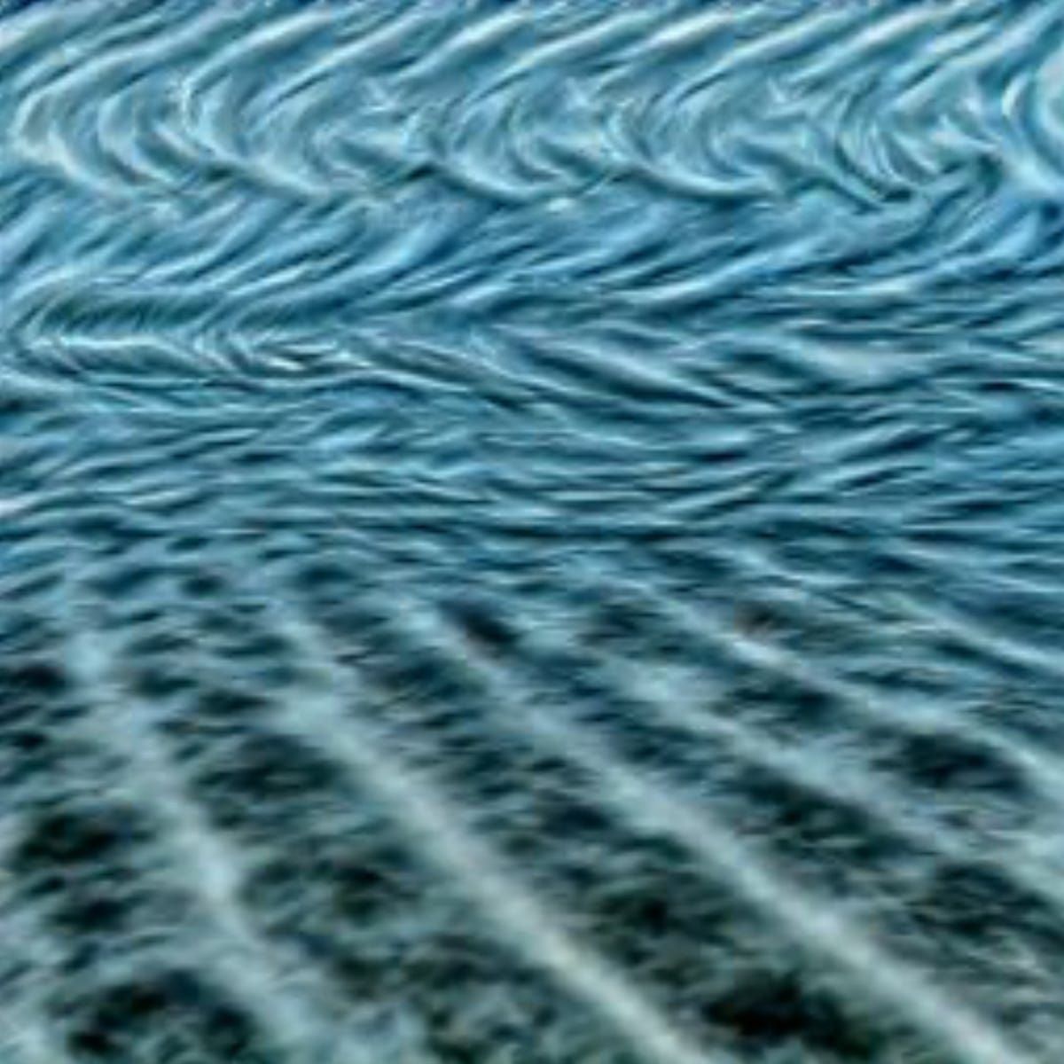 The model is the message ⊗ Soulbinding like a state ⊗ The value of being a professional amateur