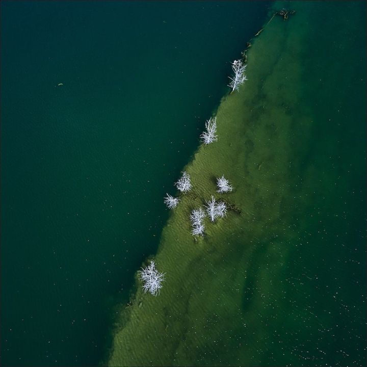 Raising your Artificial Intelligence ⊗ Vannevar Bush engineered the 20th Century ⊗ Dominion