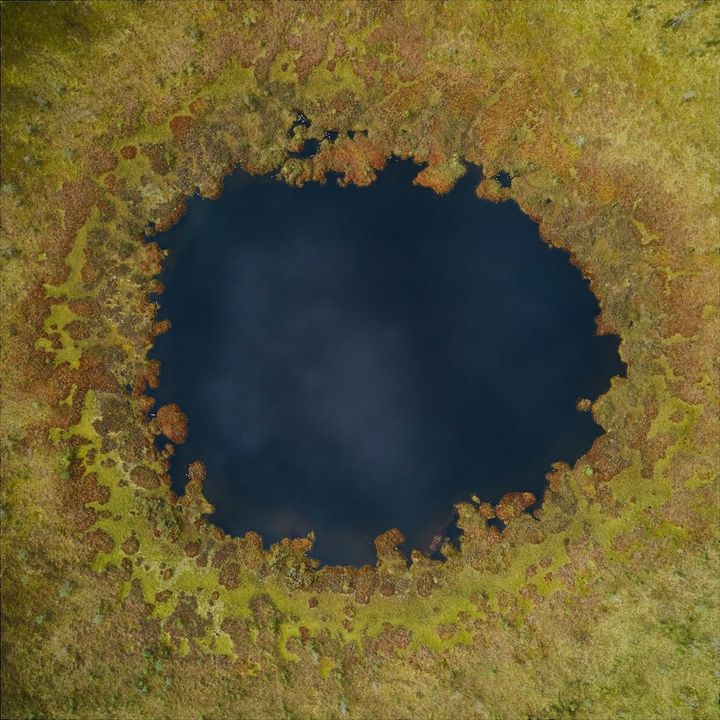 Seeing like a data structure ⊗ Research as leisure activity ⊗ Empty innovation