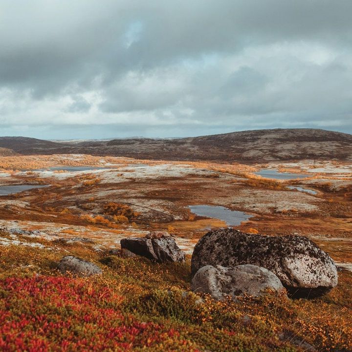 On unstable ground ⊗ Intelligence evolved at least twice in vertebrate animals ⊗ Pixel agents, talking cars, and moving eyes