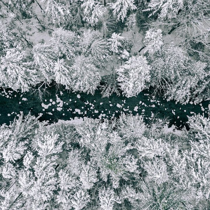 AI in 2026 and beyond ⊗ Bioregionalism’s tech-driven revival