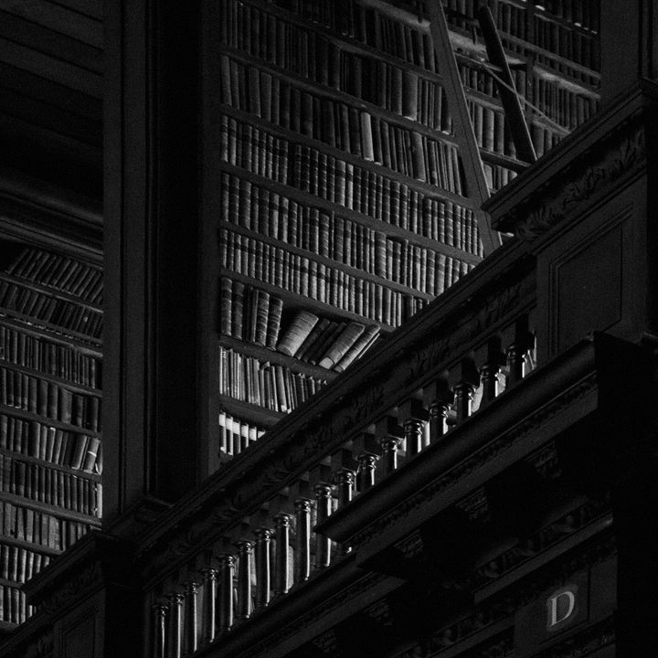 The skeleton library ⊗ Could humans become “Sun-eaters”?