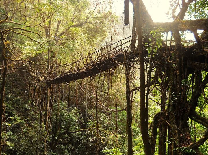Open Climate now! ⊗ Thresholds of artificiality ⊗ Collapse, renewal and the rope of history