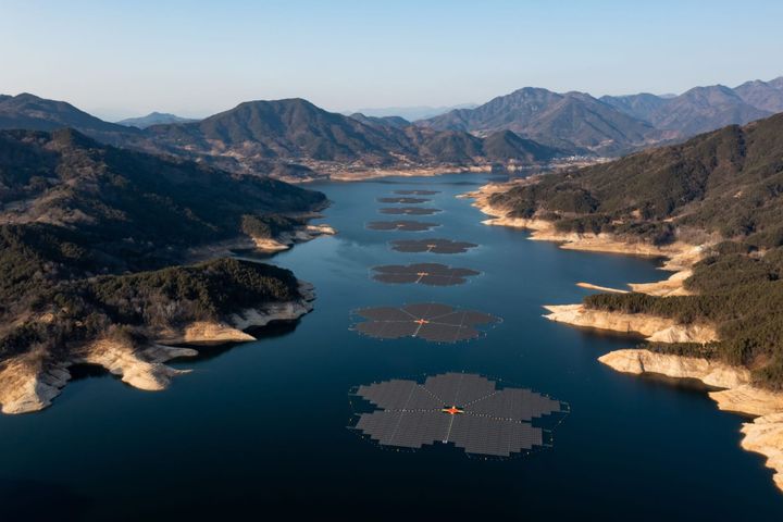 Hope for the future ⊗ Terranascient futures studies & foresight ⊗ Solarpunk: A container for more fertile futures