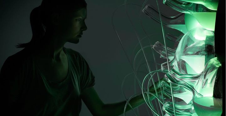 Schneier on Blockchain. AOC’s Green New Deal resolution. Three layers of identity. Purpose. VR. And a vegetative Faraday cage.