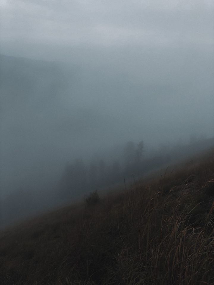 Impossible silences ⊗ Delinquent telephone activity ⊗ Under the big black sun