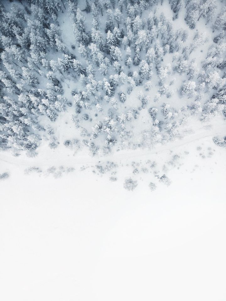 Oh, 2022! ⊗ Change of seasons ⊗ Tropical futurism