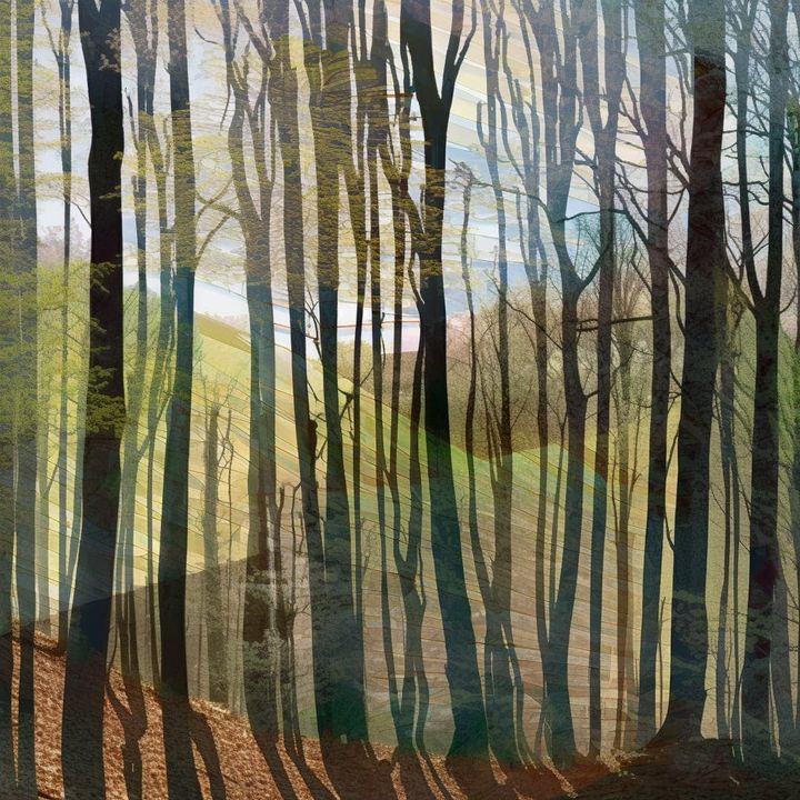 To shape the future, we must first understand the present ⊗ Society’s technical debt and software’s Gutenberg moment ⊗ We don’t need new tech to fight climate change