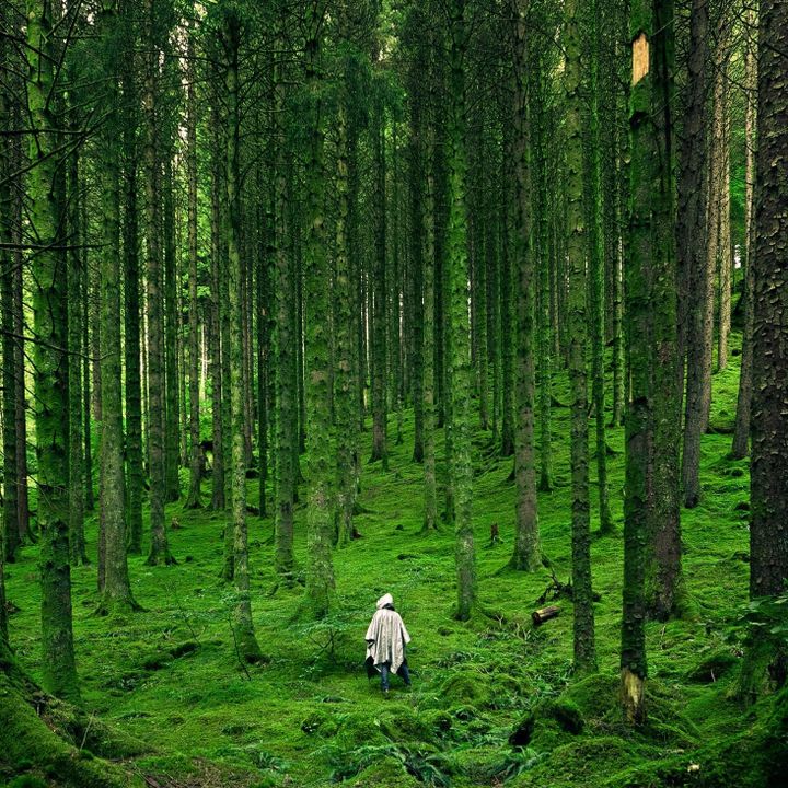 How to think beyond ourselves ⊗ A messy Utopia is all we might get ⊗ Storytelling and narrative anthropology