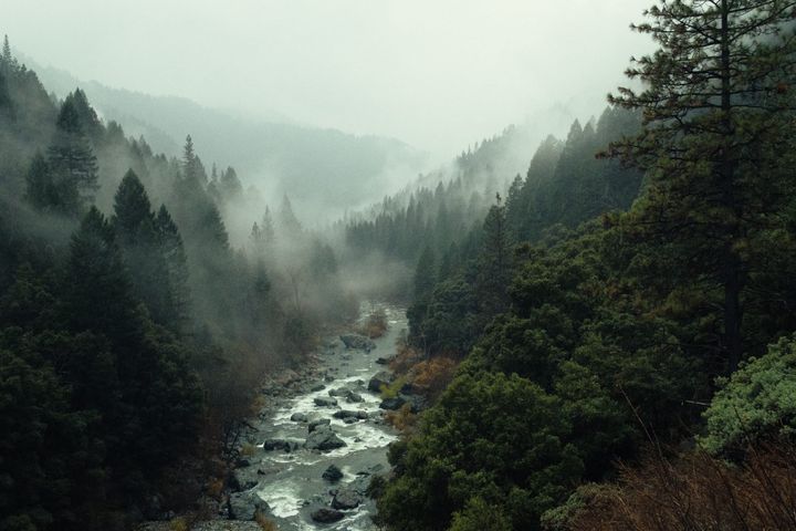 Magic & the machine ⊗ Lanier in conversation with Maughan ⊗ The deep Anthropocene