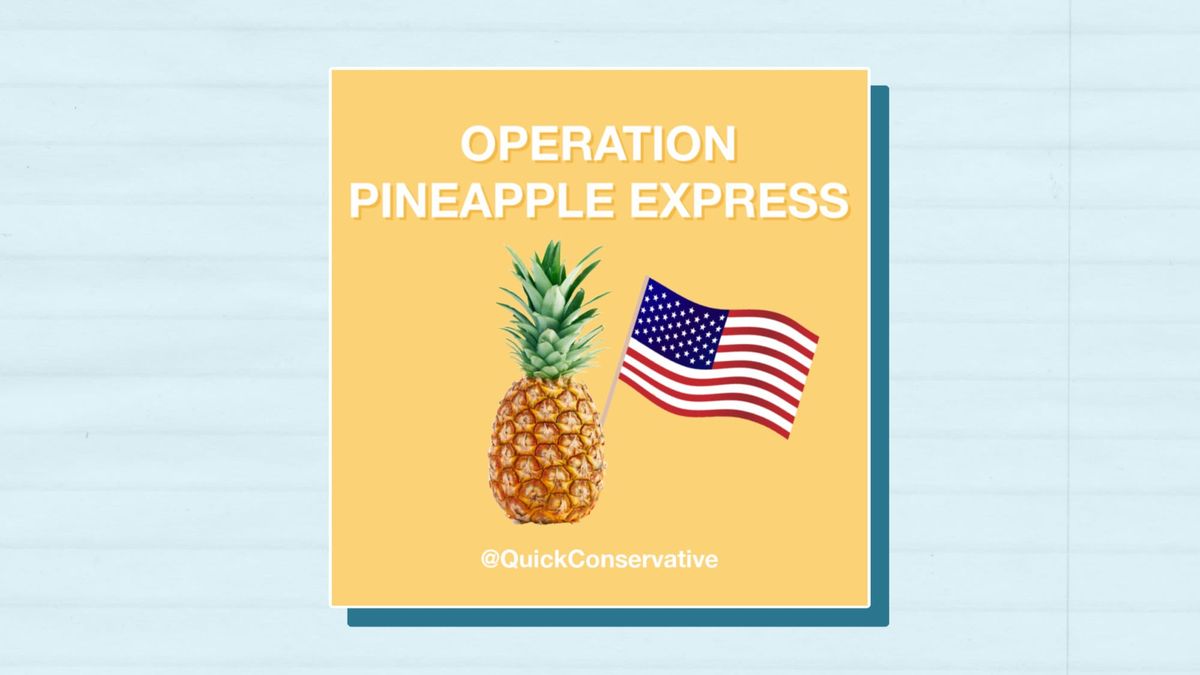 Operation Pineapple Express: Veterans Secretly Rescue Afghan Allies