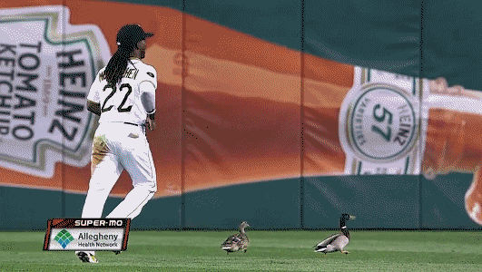 Tuesday 3.18: The Baseball One