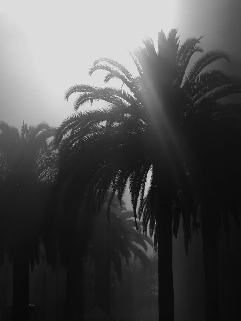 Jan 1