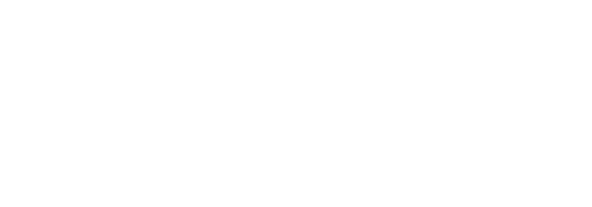 Circus Rigging & Safety