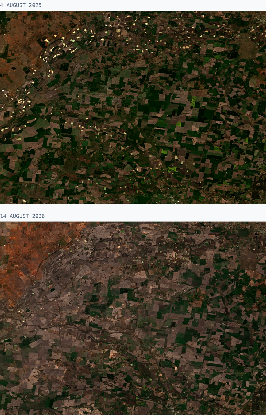 Two satellite images of the Mungindi to Moree country stacked vertically: 4 August 2025 above, mostly green paddocks; 14 August 2026 below, mostly brown and grey.