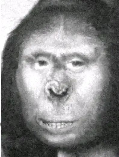 The Life of Zana the Human