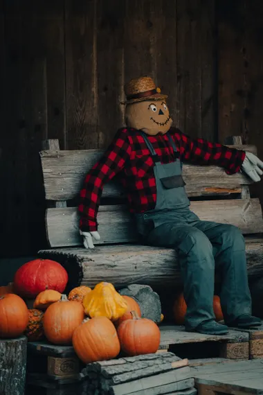 Scarecrow From the Closet (Straw Optional)