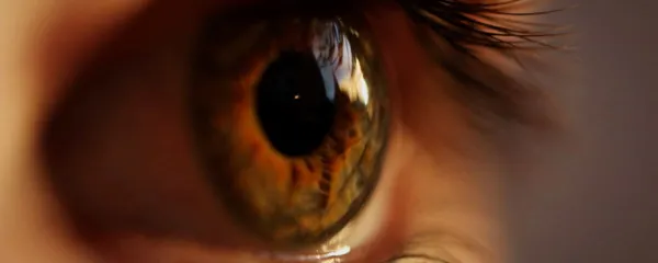 How AI Can See Better Than Your Eyes Do