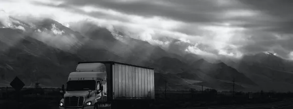 Top 3 and More - Best Logistics Management Software of 2026