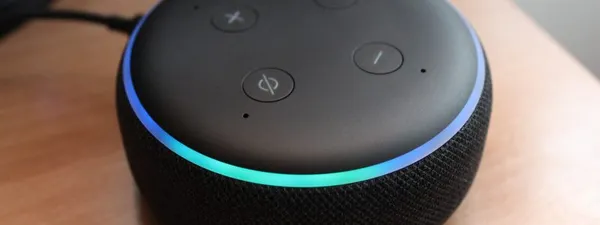 Top 3 and More - Best IVR Software of 2026