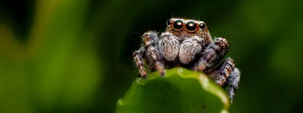 Top 3 and More - Best Threat Intelligence Platforms of 2026