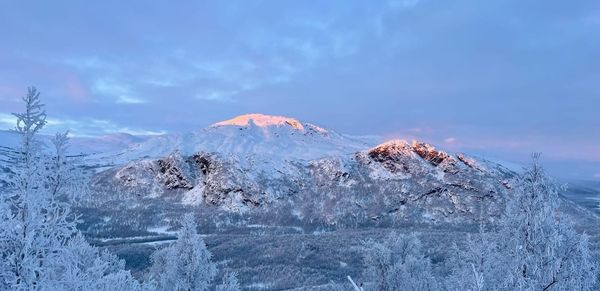 Hemavan i januari: Korta dagar på tur i fjällens färgprakt
