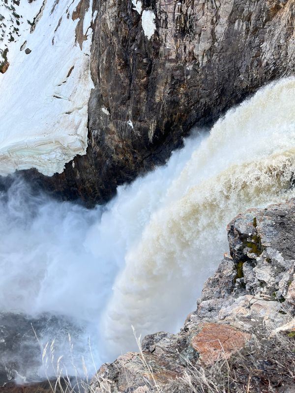 35 dollar för en rejäl dos ödmjukhet: En guide till Yellowstones urkraft