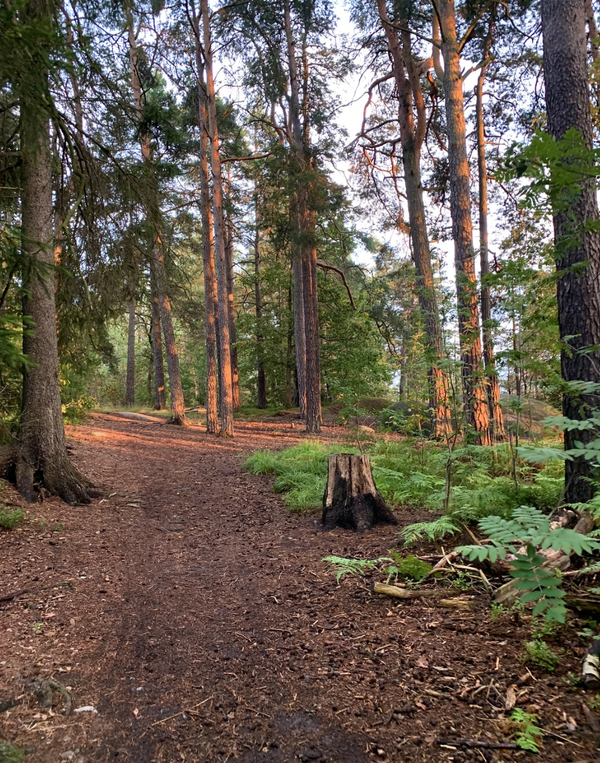 5 sätt att hitta tillbaka till motivationen under arbetsdagen