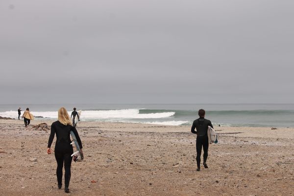 Guide: Surfa i Namibia