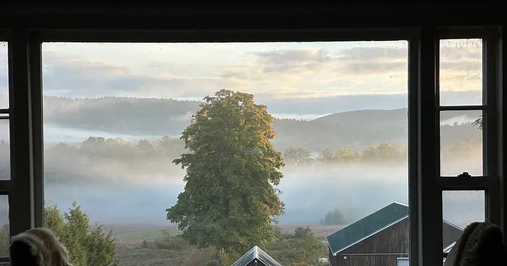 “Close observation is an act of love”: A Conversation with Creative Nonfiction Writer Jessie Petrow-Cohen