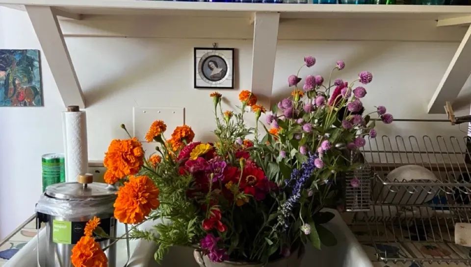 Money Diaries: A Week of Spending with Elizabeth Meyer