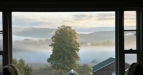 “Close observation is an act of love”: A Conversation with Creative Nonfiction Writer Jessie Petrow-Cohen