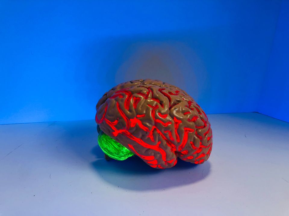 How to Get Smarter