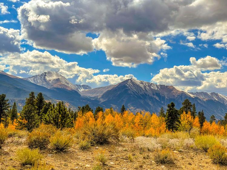 Answering the Call of the Leadville Trail 100 MTB Race