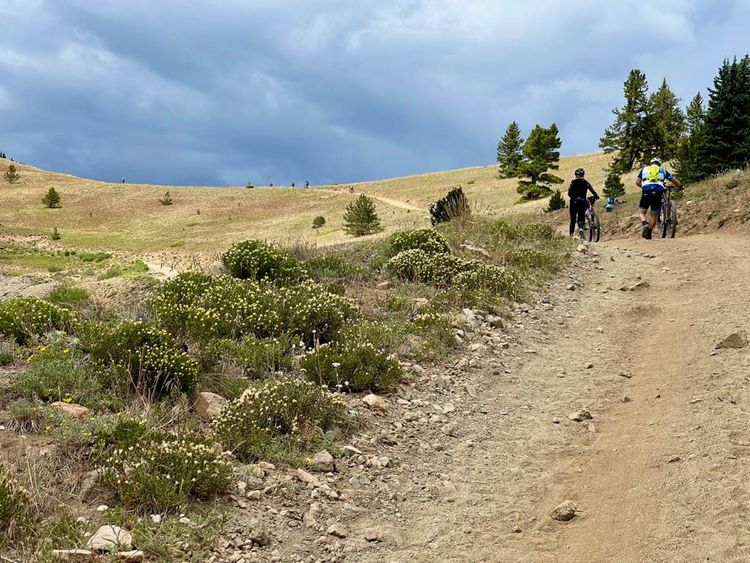 My First LT100: When the Start is the Win