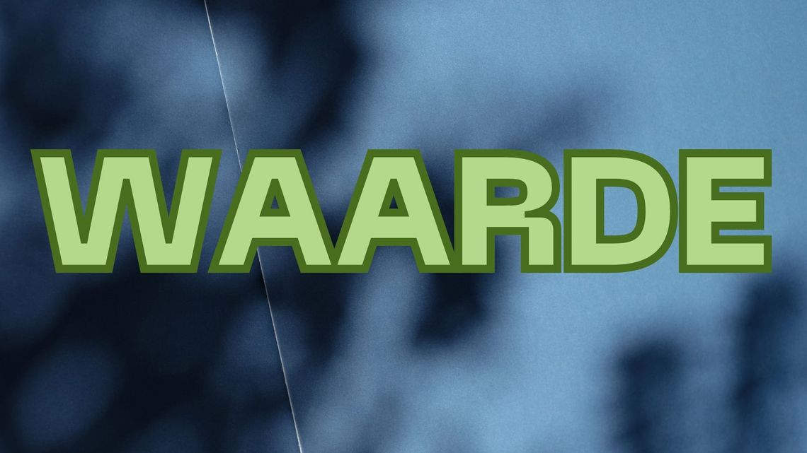 Waarde (waar ik niets van begrijp)