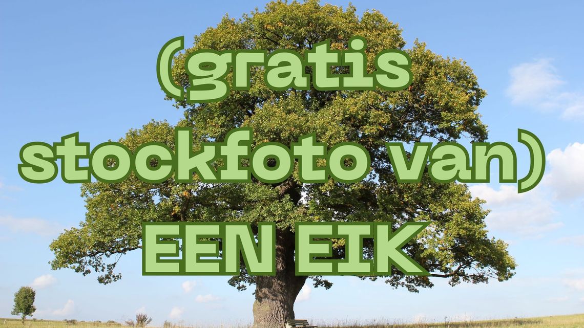 Een eik