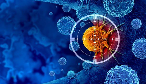 Article Review: 'Goldilocks' Binding Strength Determines Anti-Cancer T-Cell Efficacy and Fate
