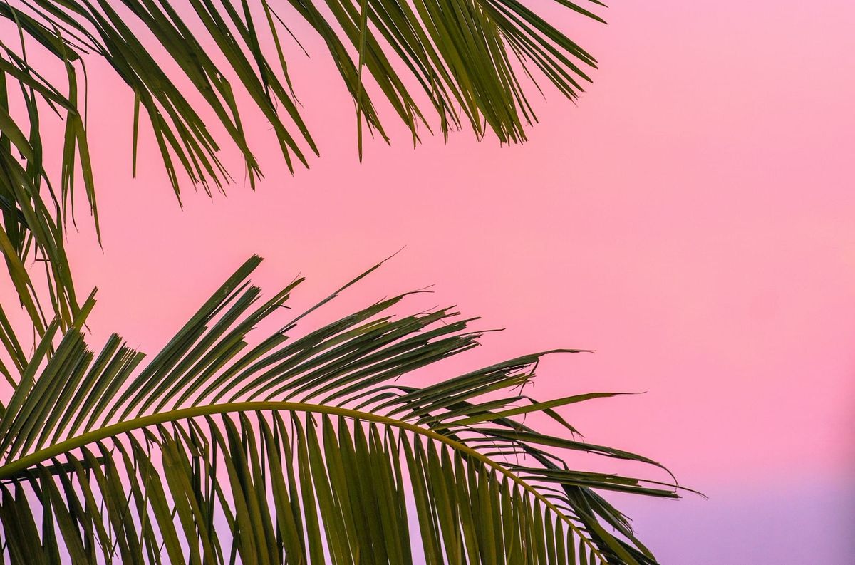🛒 夏天还没正式开始，但超市已经提前换了一套生活方式