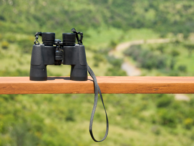 A pair of binoculars sitting on a ledge