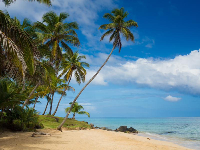 Palm trees and beach view on Little Corn Island, Nicaragua