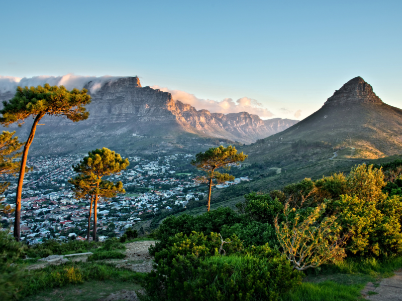 🇿🇦 South Africa