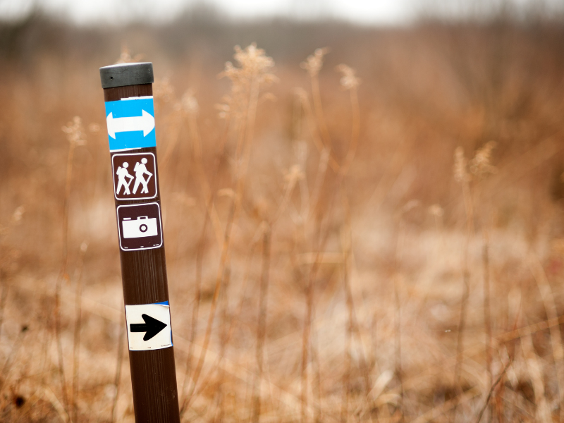 A Few Things Worth Knowing If You Don’t Stay In One Place