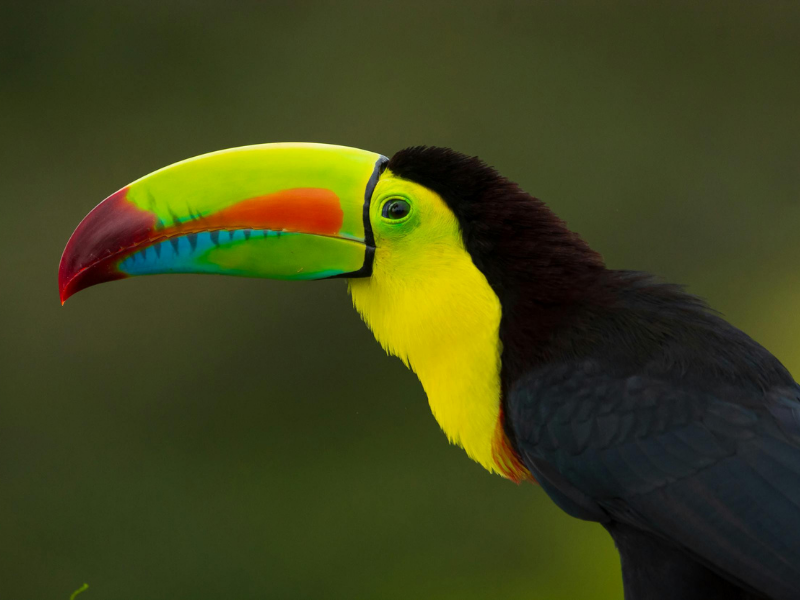 Belize | August Update