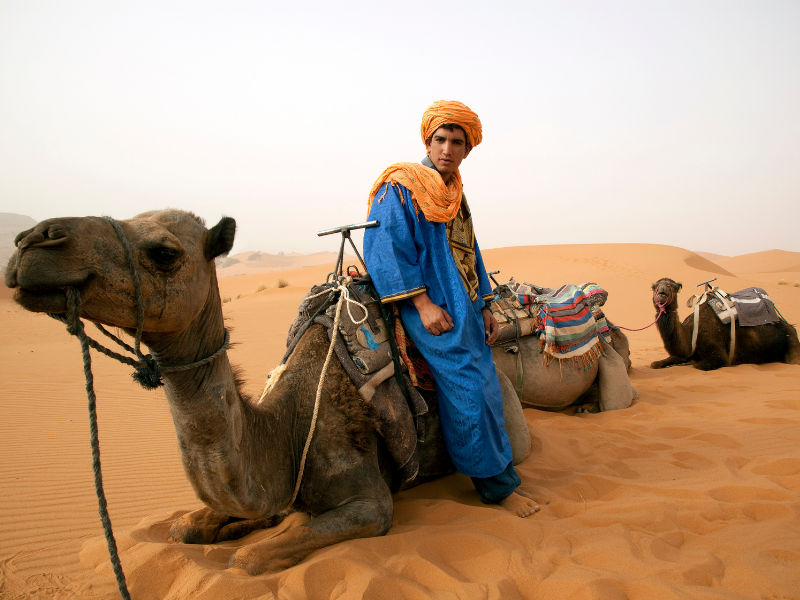 Morocco | August Update