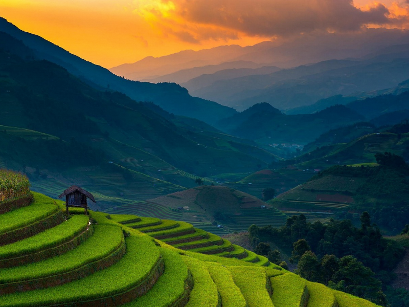 Vietnam | August Update