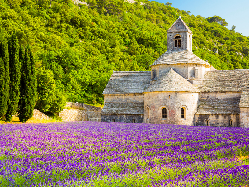 France | August Update